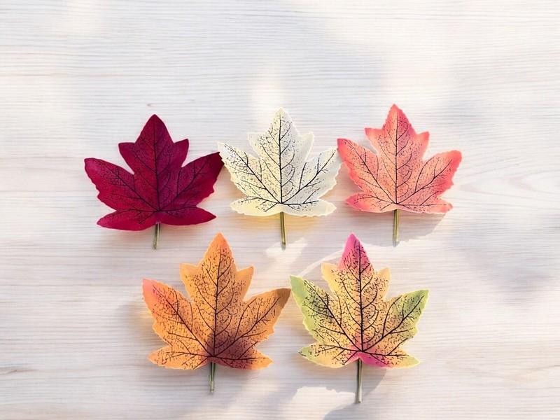 Fall Leaves for DIY projects