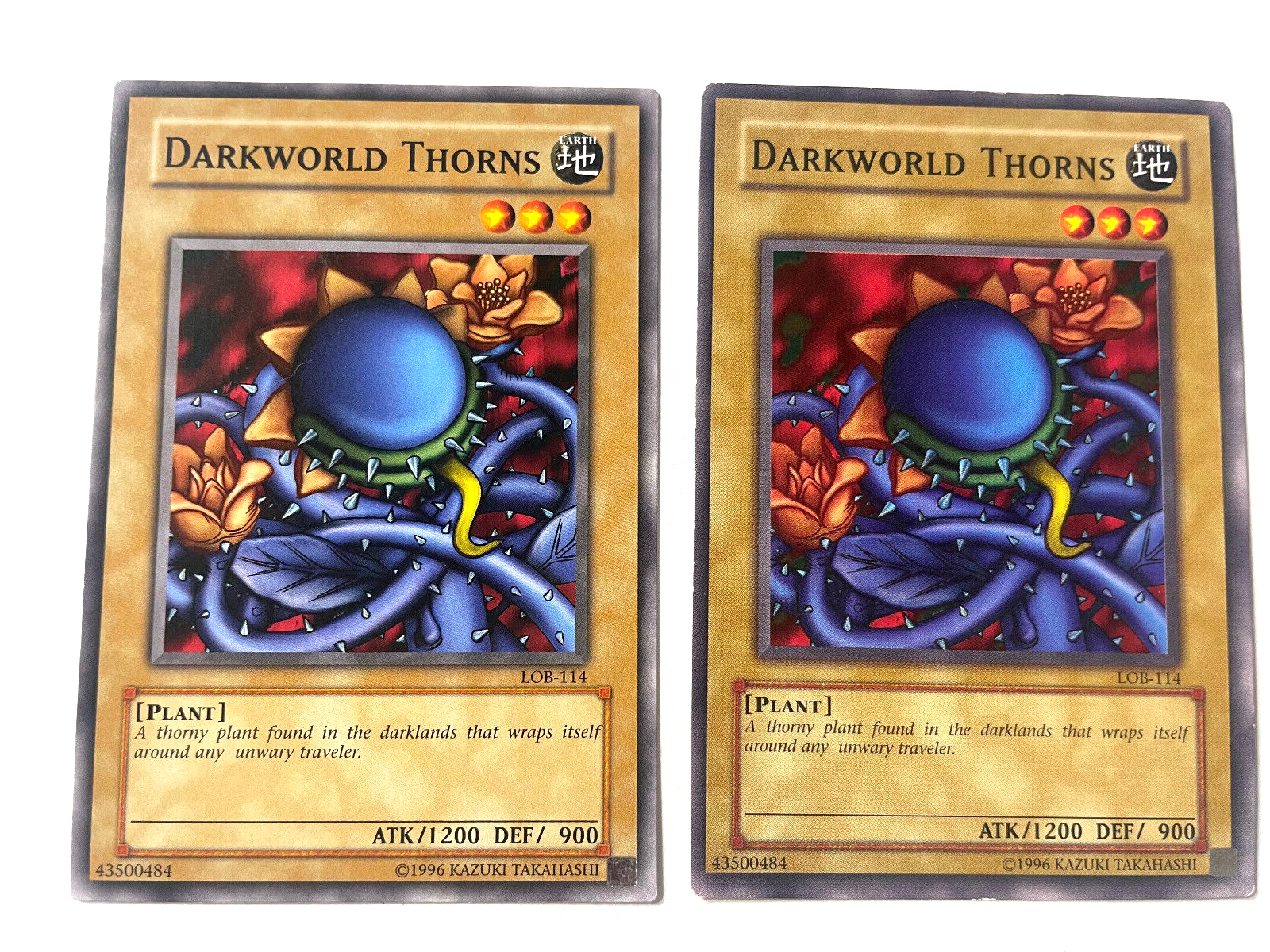 Darkworld Thorns - LOB-114 - Common - Unl Edition - NM/LP