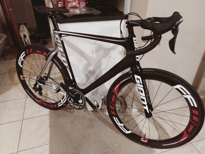 gumtree giant propel