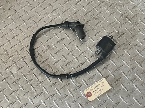 2022 Genuine Scooter Co. Urbano 50i Ignition Coil DKLJ3B1
