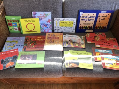 HUGE LOT - Elementary Hindi bilingual resources - 19 books plus NEW audio CD 