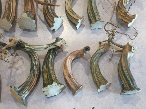 26 Excellent Quality Dried Pumpkin Stems Crafts, Velvet Pumpkins 3-1/2 to 6