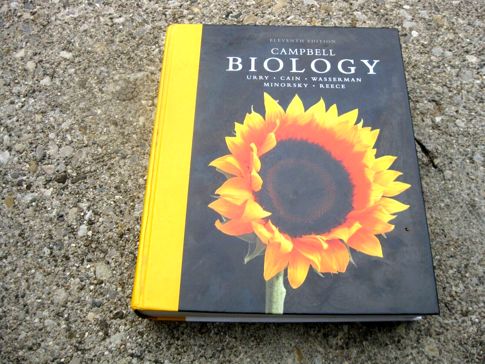 Кэмпбелл биология на русском. Учебник кэмпбелла биологии. Книга campbell biology. Биология campbell том 2. Учебники campbell.
