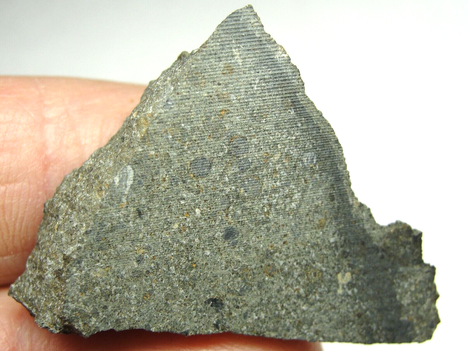NWA 11203 Carbonaceous CK6 Chondrite - G684-0009 - 11.85g NWA 11203 Carbonaceous CK6 Chondrite - G684-0009 - 11.85g