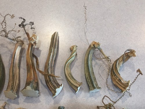 26 Excellent Quality Dried Pumpkin Stems Crafts, Velvet Pumpkins 3-1/2 to 6