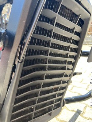 Fotos del artículo de un comprador verificado