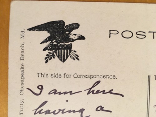 Old Chesapeake Beach, MD Postcard. The Arrival of Visitors from Baltimore. 1911