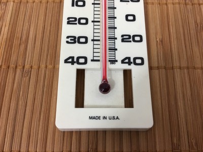 Springfield All Weather Compact Wall Thermometer (Made in USA) Plastic SHIPTODAY