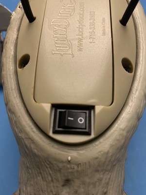 Item photo(s) from verified buyer