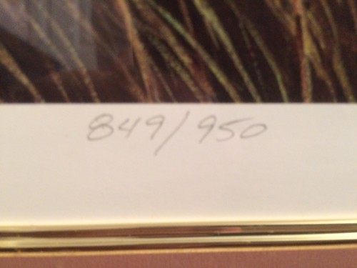 Jim Booth Shore Patrol