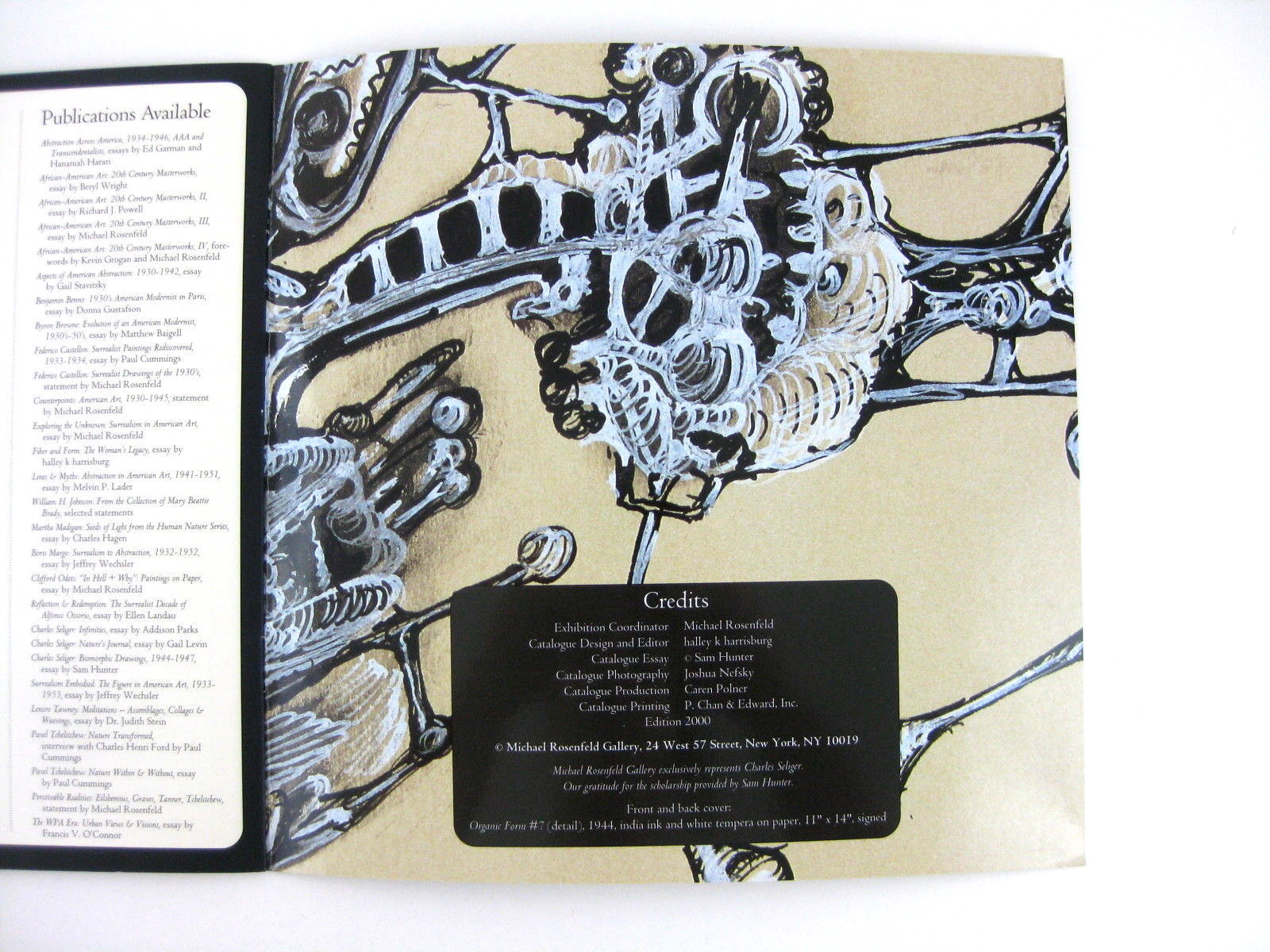 Charles Seliger Surreal Biomorphic Drawings Art Exhibit Catalog New York 1997