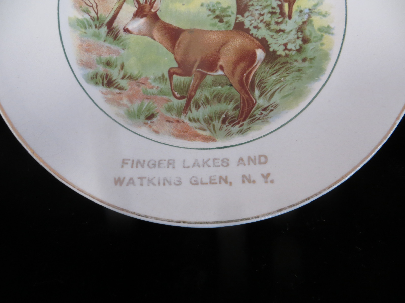 Vintage Advertising Plate - Finger Lakes and Watkins Glen, N.Y. - NY