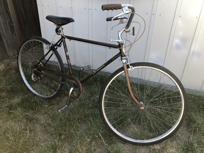 schwinn 5 speed