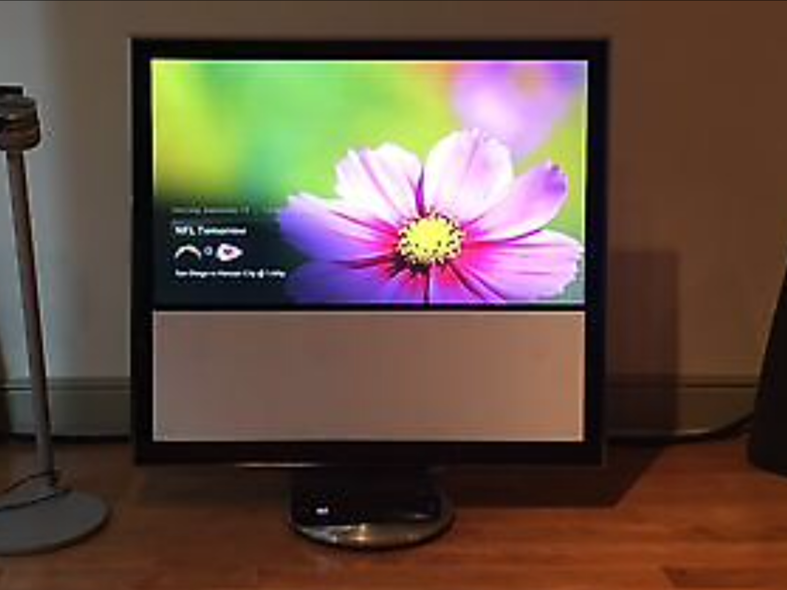 Ban& Olufsen Beovision 11-46