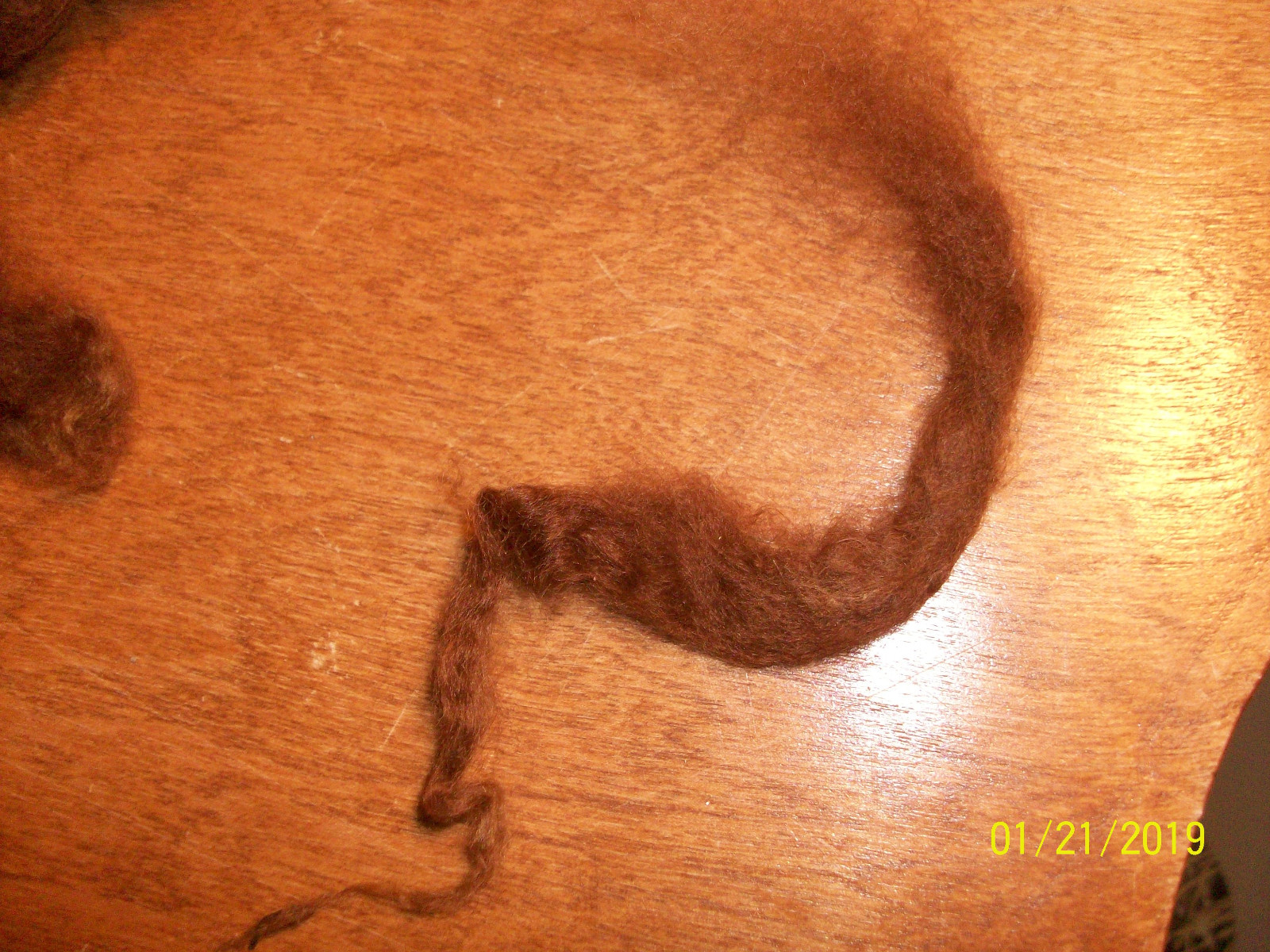 Cinnamon alpaca prime fiber, super soft, nice crimp, washed 8 oz