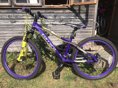 carrera luna purple and yellow