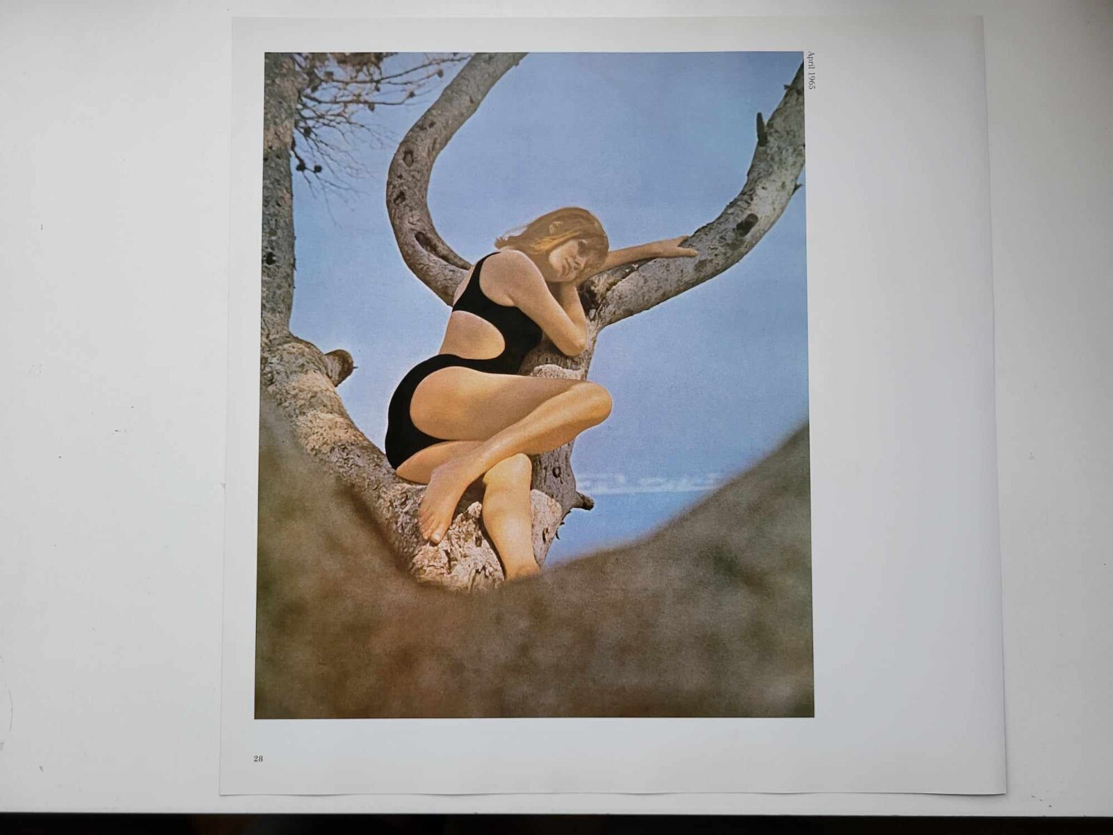 Jinsiy video kokrak opish