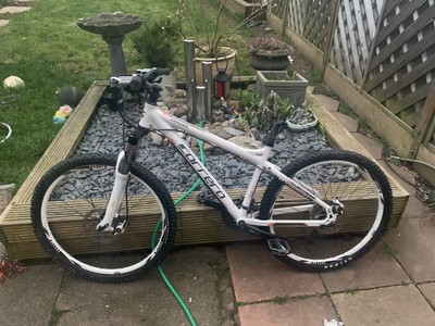 carrara mountain bike