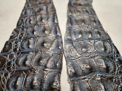 Caiman Hornback Skin Flanks 2 Pcs. 0154