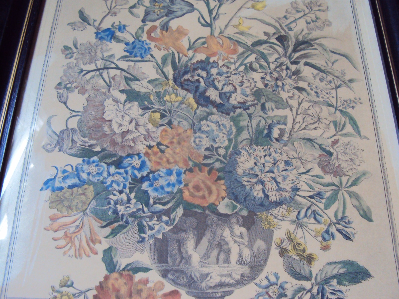 1730 TWELVE MONTHS OF FLOWERS,JULY LITHOGRAPH PLATE, BY ROBERT FURBER,GARDINER