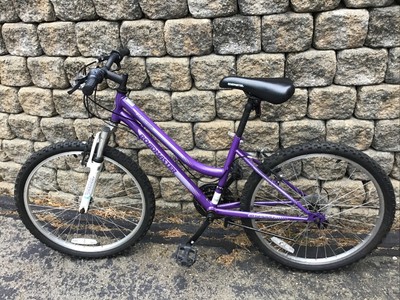 avigo stylin 24