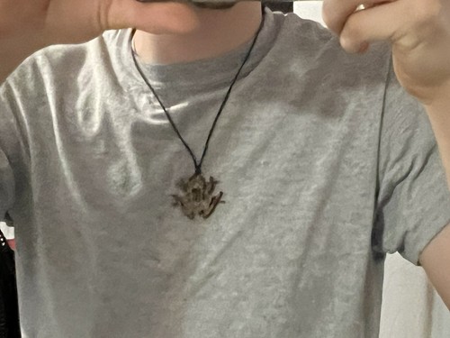 Item photo(s) from verified buyer