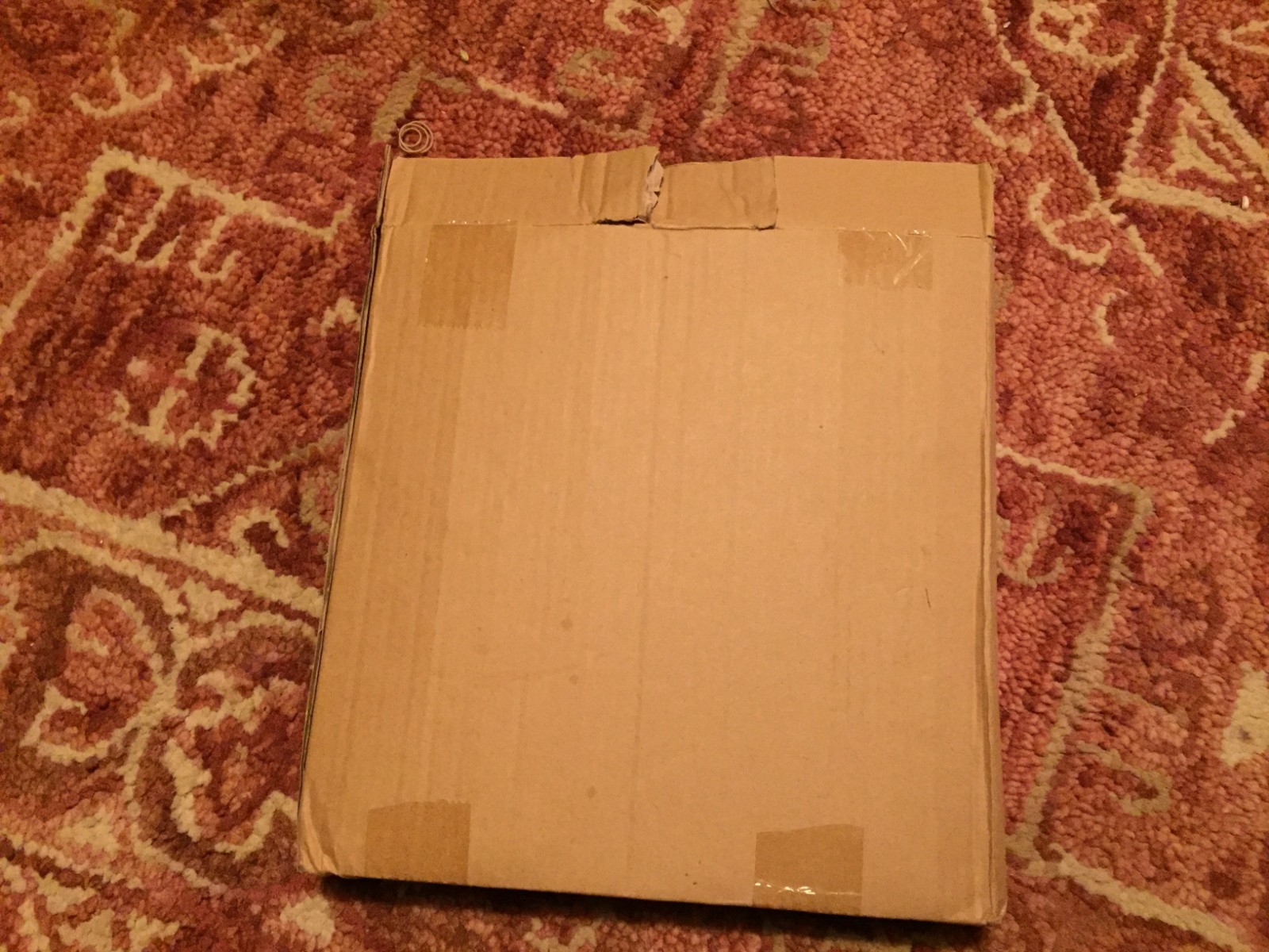 200 8 Inch Glow Bracelets necklace anklets glasses barrettes glowball Camping