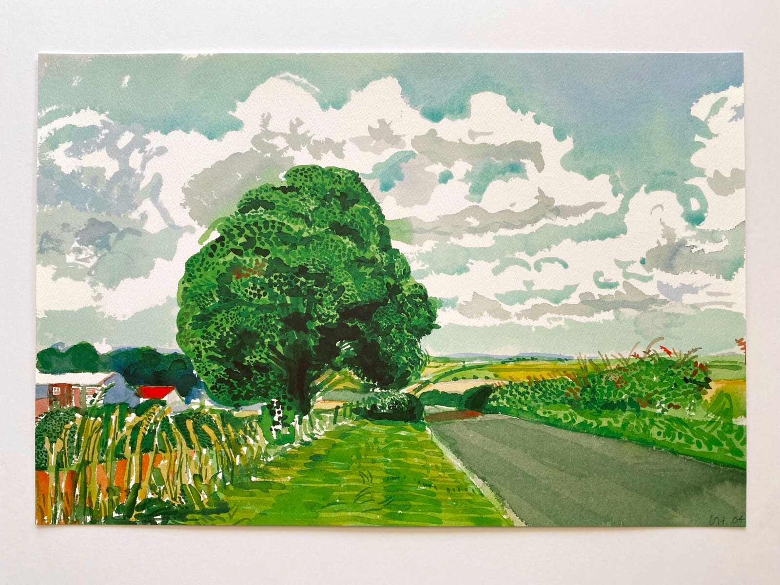 David Hockney Martha's Vineyard and ・大型本 Amazon.co.jp: Martha's Vineyard and other places: My Third