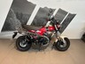 New Honda ST 125 Dax 2024 0 miles 