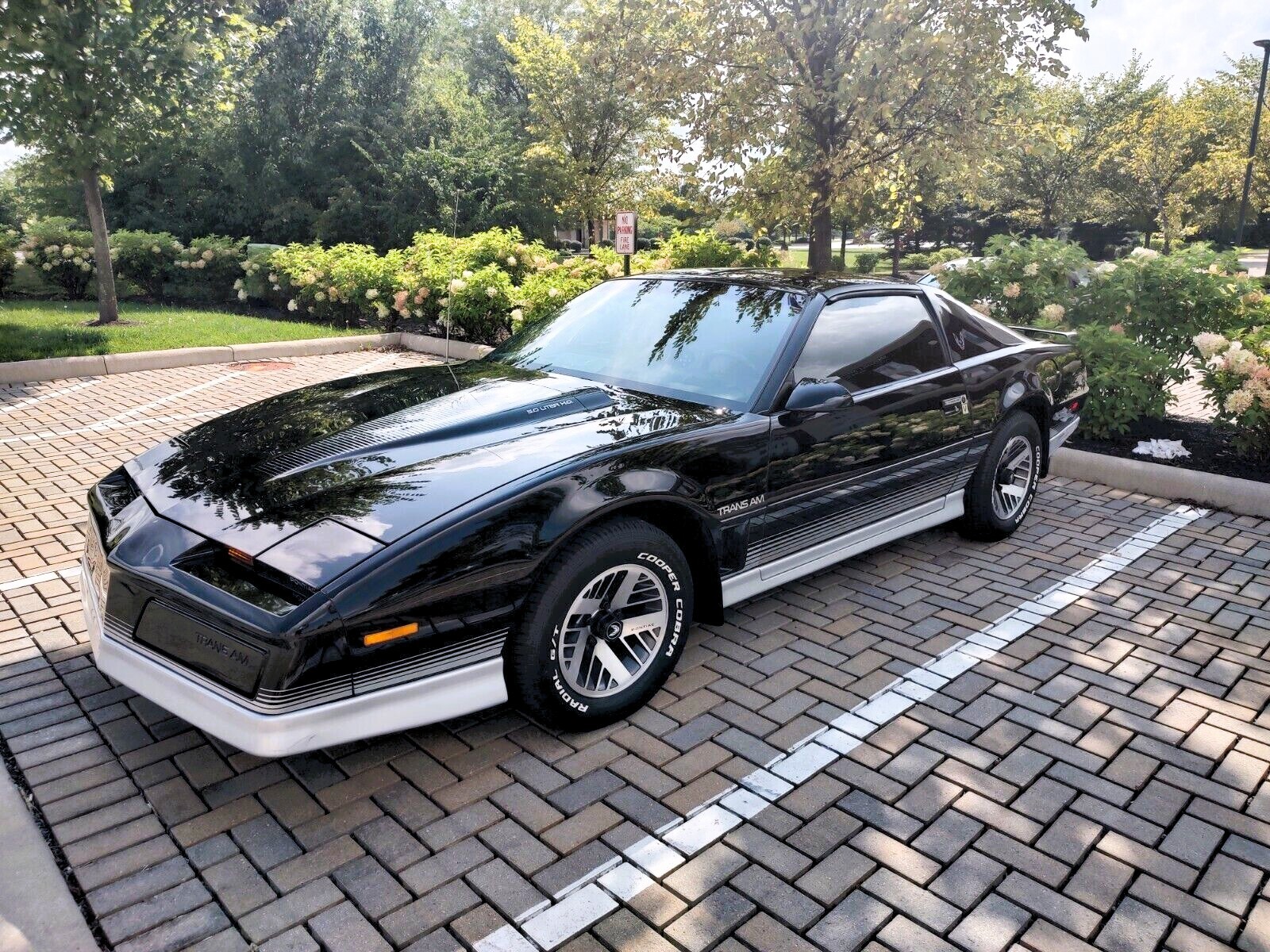 【ビンテージ】fartco loveearart同ボディ70s TRANS AM ビンテージ】fartco loveearart同ボディ70s TRANS AM - メルカリ