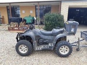 gumtree quads