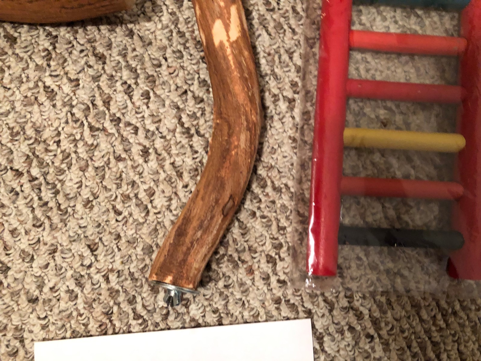 Bird Perch and Carpenters ladder 12 inch wood parrot flying wood stand