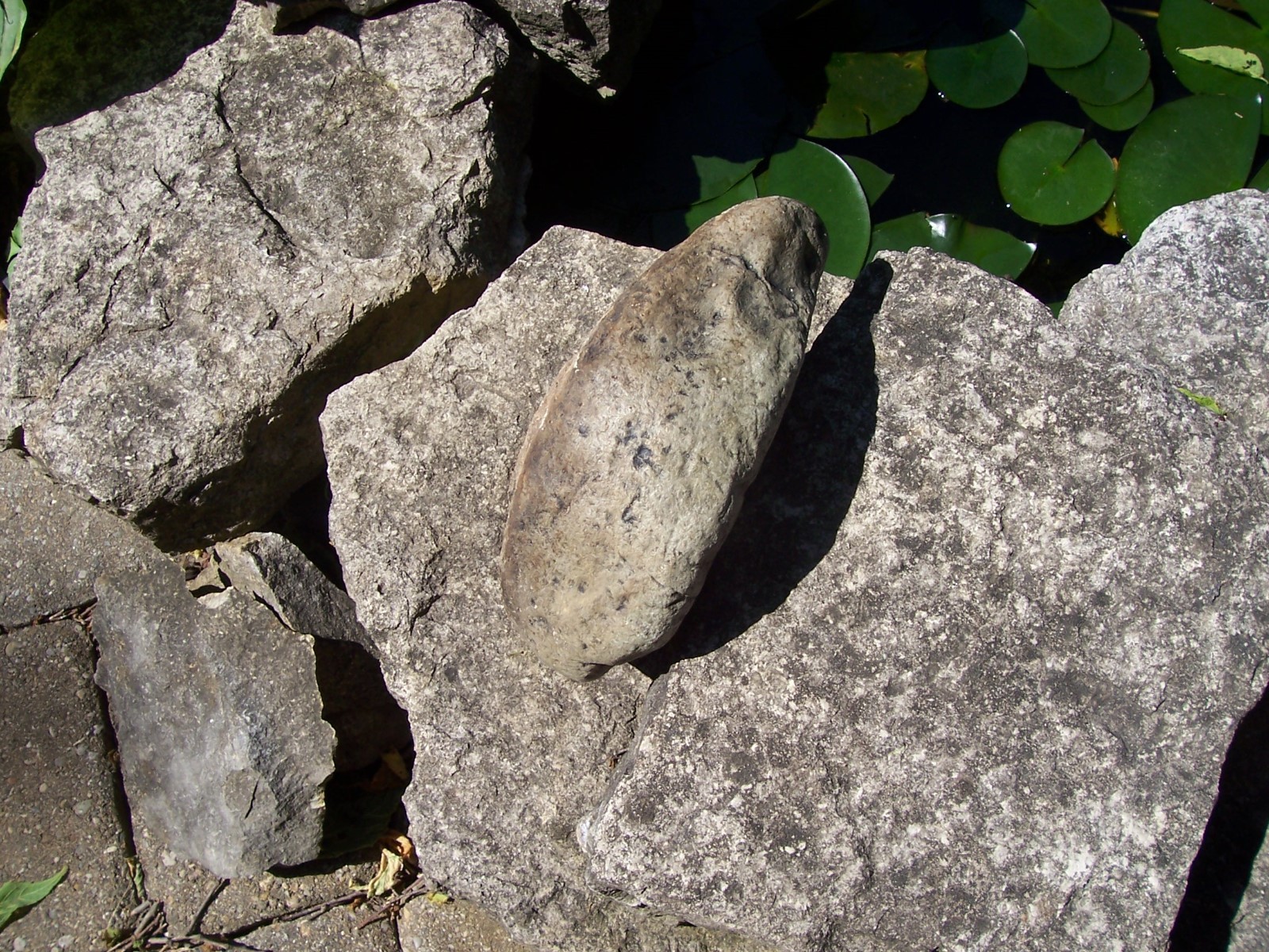 Vintage Stepping Stone/Marker For Grandparents Garden