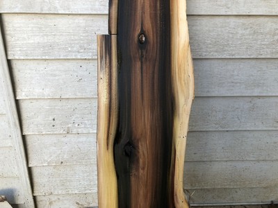 Rainbow Yelllow poplar slab