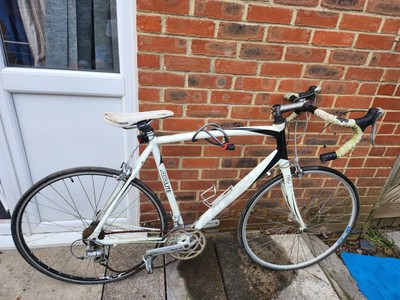 Raleigh airlite 100 2025