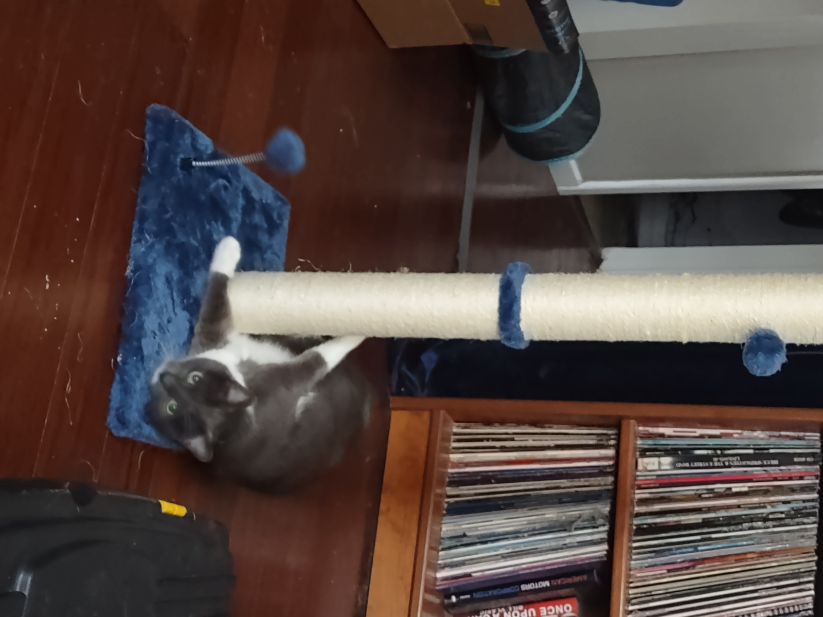 MECOOL 34“ Tall Cat Scratching Post Premium Basics Kitten Scratcher