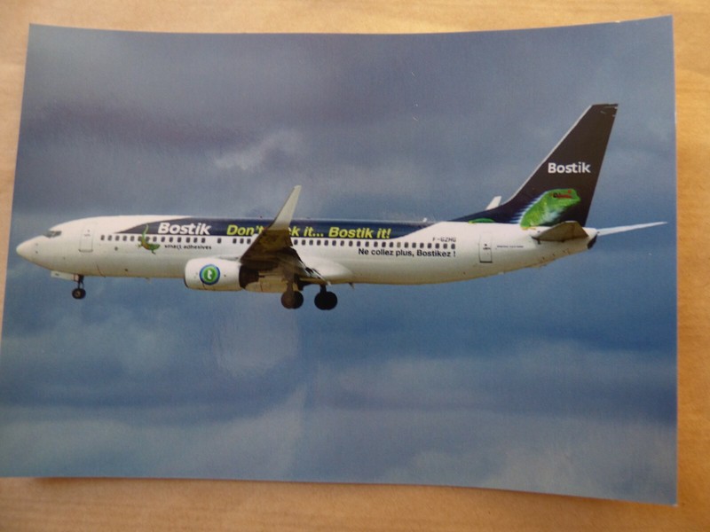 Transavia France   B 737 800   F-Gzhg     / Collection Vilain  NÂ° 894