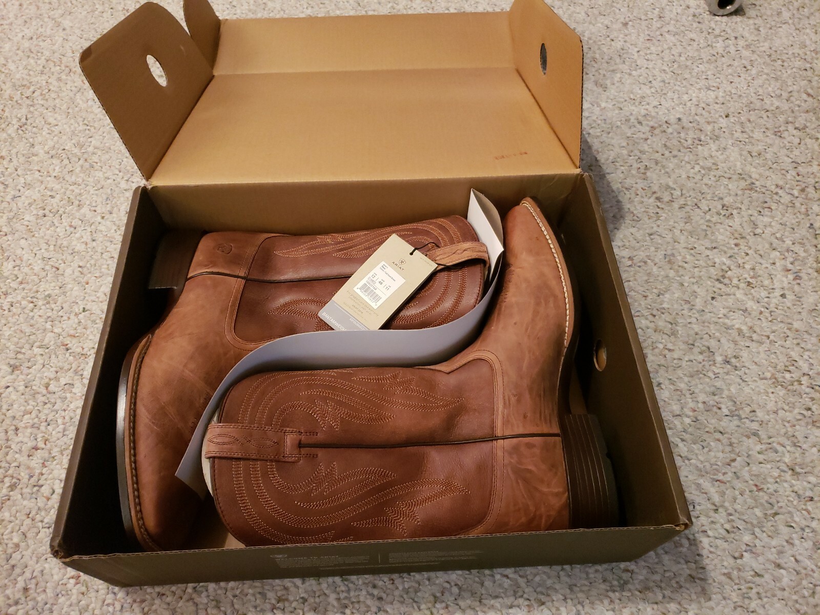 Ботинки Ariat Men's Plano Western 
