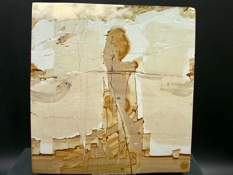 Paesine, Top Xxl - Florence, Toscane, Italie - 15,7 X 14,9 X 2,8 Cm - 1625 G