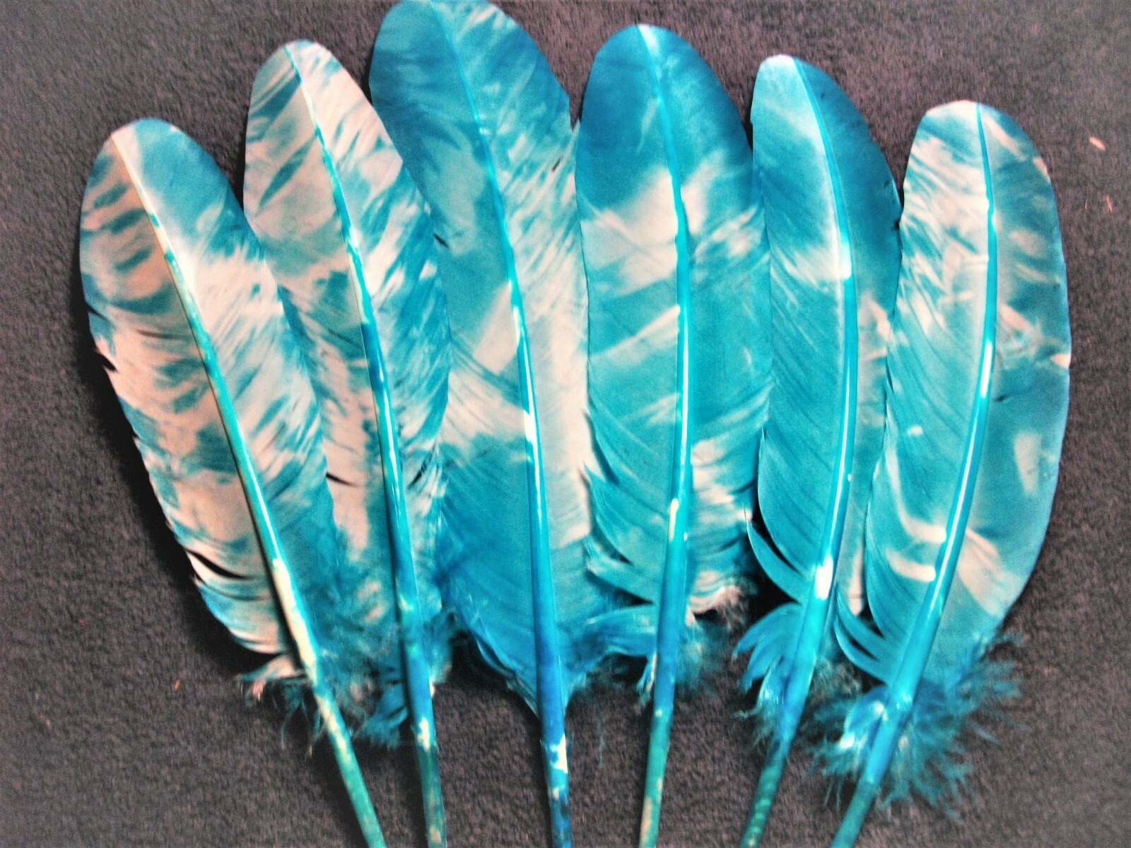 Feather 6. Feather 6