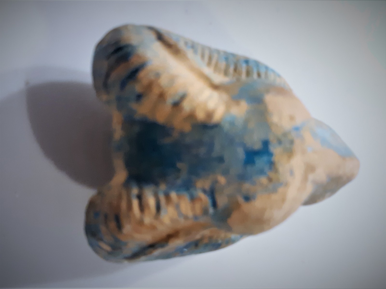 Terra Cotta Blue Faience Glazed Large Ram's Head