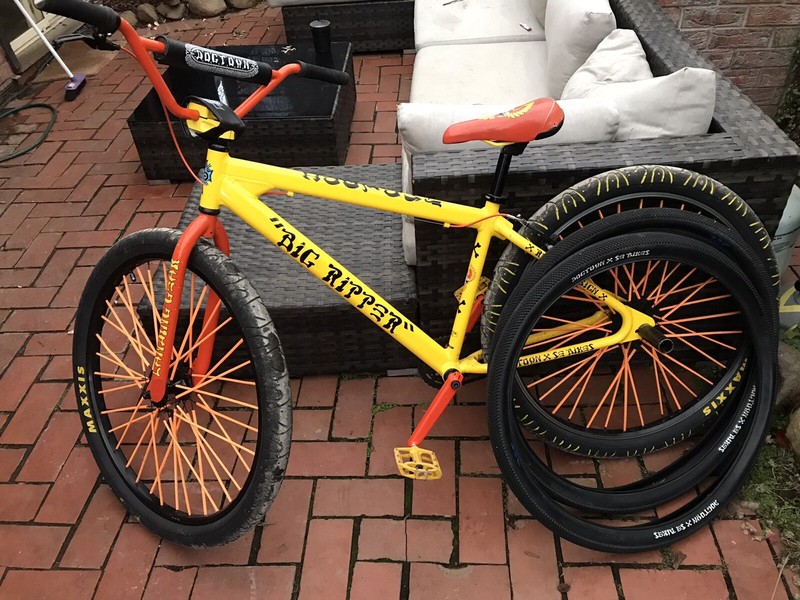 2019 dogtown big ripper