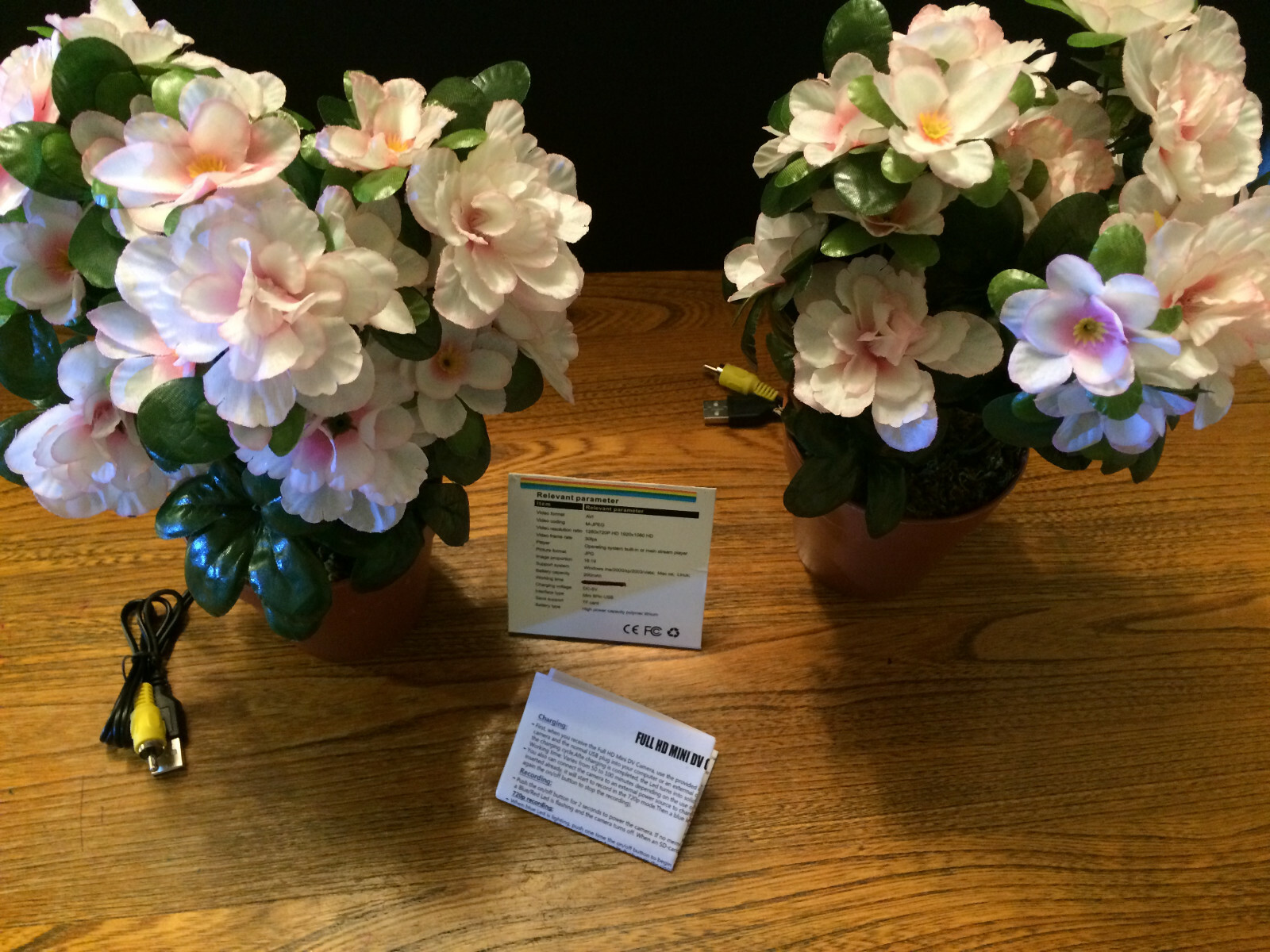 Spy Cam 1PCS Flower-Plant Spy NV HD CAM Motion Detection DVR USB CAM (PC)