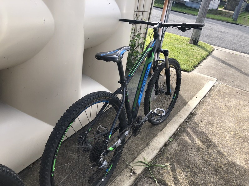 polygon mtb hardtail