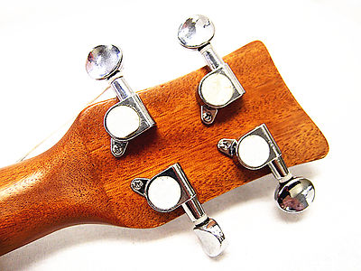 WOODNOTE / Special 24" Concert Rosewood Ukulele with Ivory Inlaid <Limited> WOODNOTE / Special 24" Concert Rosewood Ukulele with Ivory Inlaid <Limited>