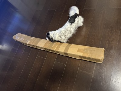 Foto dell'oggetto di un acquirente verificato