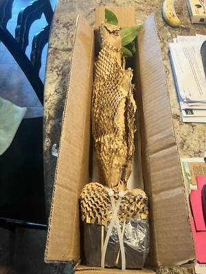 Item photo(s) from verified buyer