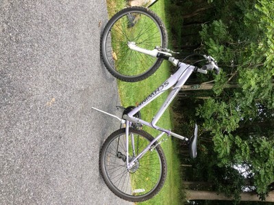 schwinn ranger 3.0