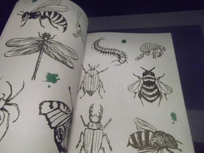 Adult Inspired Coloring Book 