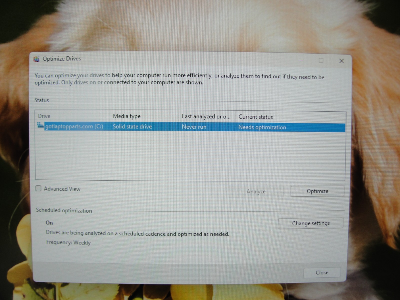 HP 17-CP2025DX 17" FHD Ryzen 5 7520U 8GB RAM 512GB SSD Win 11 - Thumbnail 9
